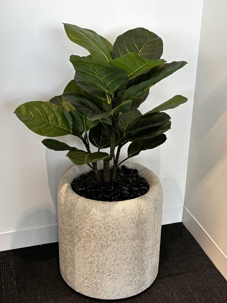 Replica plants installed car dealership Knoxville, TN