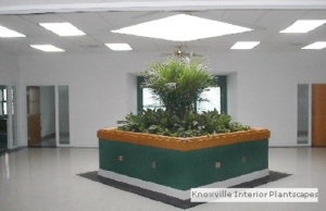 Center Greens
