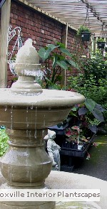 Interior Fountain and Garden