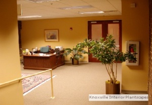 Office Space