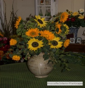 Vase of Fresh Flowers