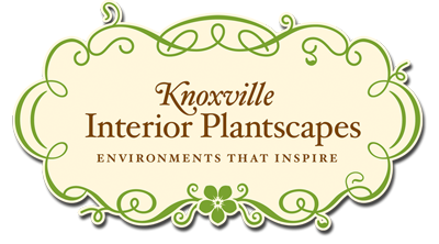 Knoxville Interior Plantscapes