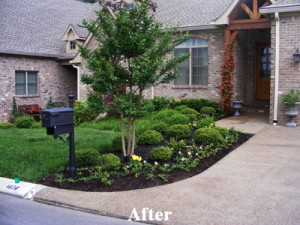 Knoxville Landscaping Services