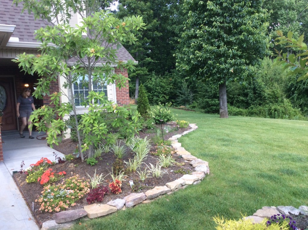 Front yard garden bed