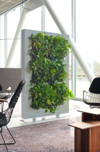 Knoxville Interior Plantscapes