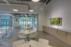 Knoxville Interior Plantscapes