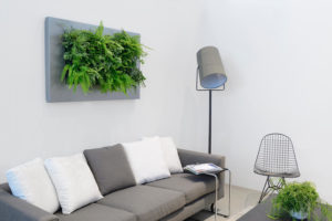 Knoxville Interior Plantscapes