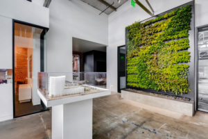 Knoxville Interior Plantscapes