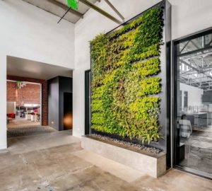 Knoxville Interior Plantscapes