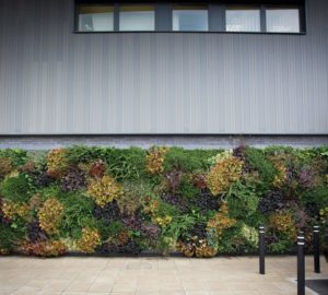 Knoxville Interior Plantscapes