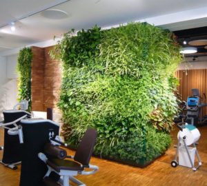 Knoxville Interior Plantscapes