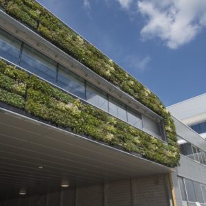 Knoxville Interior Plantscapes