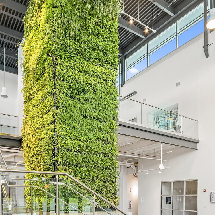 LivingPanel Columns - Learn about sustainability